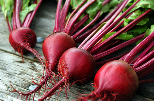 beetroot-uprooted copy