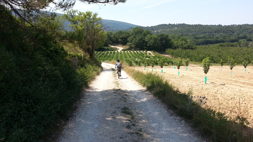 Lil' L Biking back from Bonnieux, Provence, France 2013 2