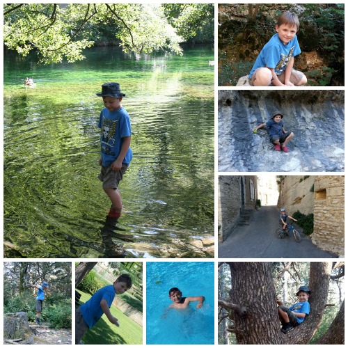 Provence Activity Collage