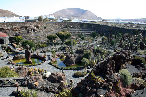 Lanzarote - Jardin de Cactus