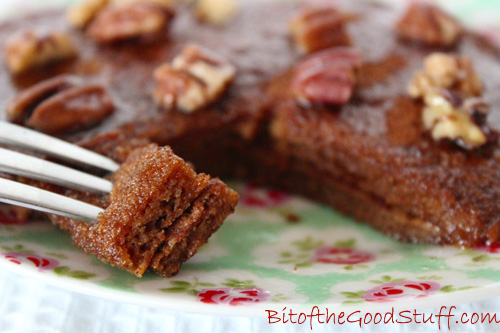 Gingerbread Pancakes (Vegan / Gluten-free)