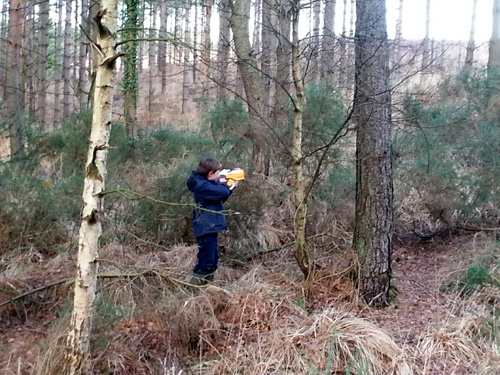 Lil L in Verwood Forest Christmas 2013
