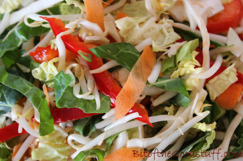 Stir Fry Vegetables