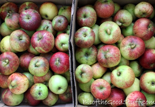 Orchard Apples