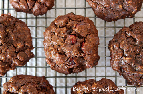 Double Choc Chip Cranberry Oatmeal Cookies