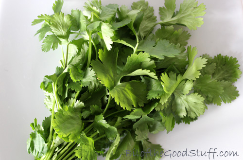 Coriander Leaves