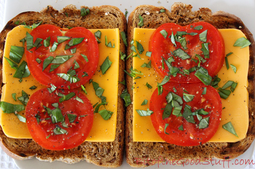 Cheese and Tomato Sandwich