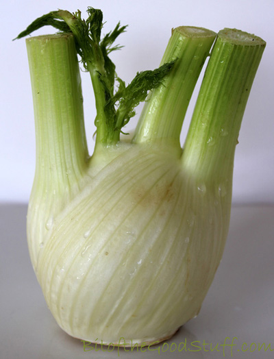 Fennel Bulb 400