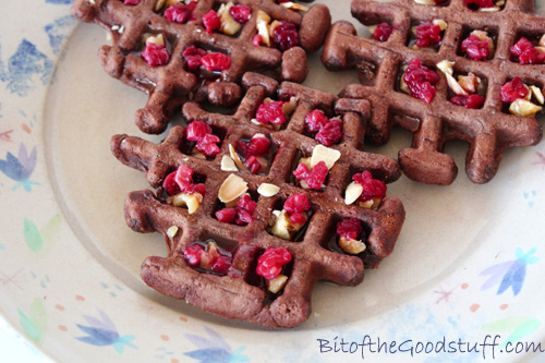 Chocolate Waffles with Crushed Nuts and Raspberries