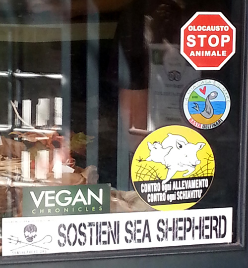 Universo Vegano Window 500