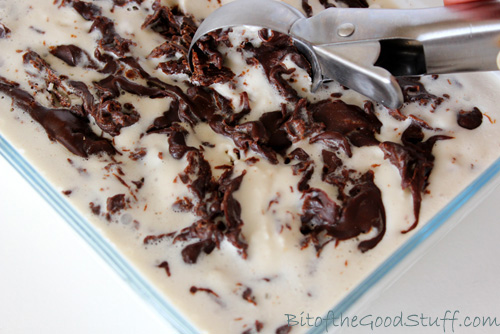 Chocolate Peanut Butter Swirl Ice Cream