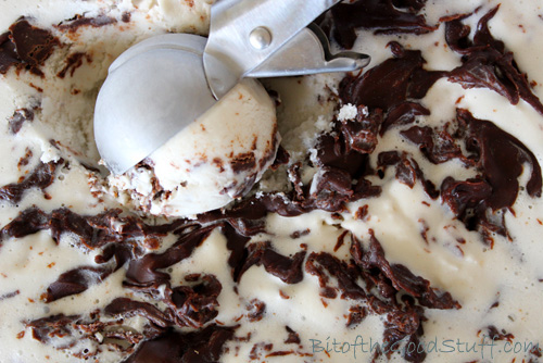 Chocolate Peanut Butter Swirl Vegan Ice Cream 