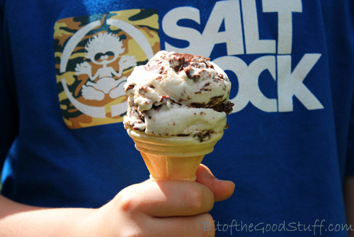 Chocolate Peanut Butter Swirl Ice Cream