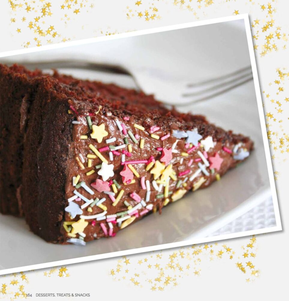 Vegan Chocolate Cake Book Shot