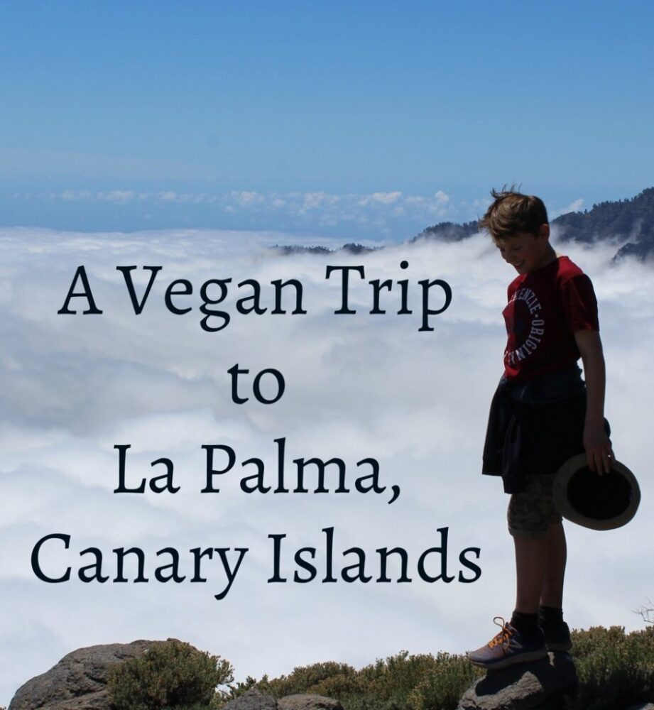 Vegan Trip to La Palma