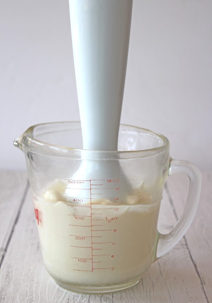 Easy Vegan Home-Made Mayonnaise