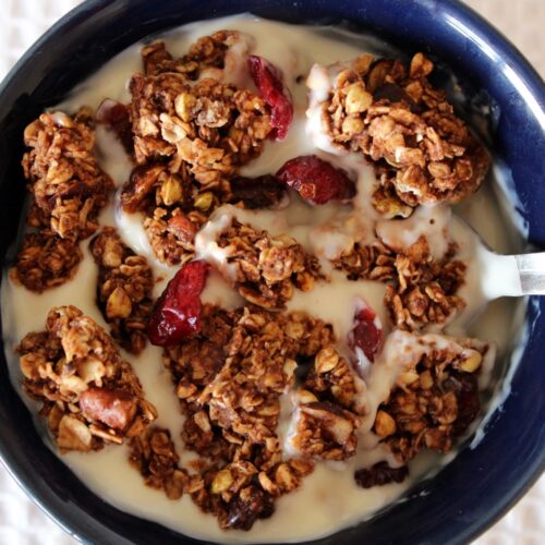 Chocolate Hazelnut Granola Clusters with Cranberries