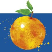 bitofthegoodstuff.com logo