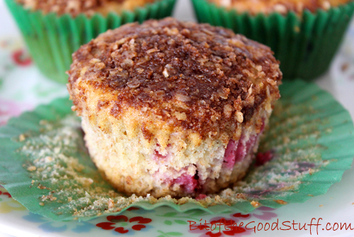 Vegan Raspberry Muffins with Streusel Topping