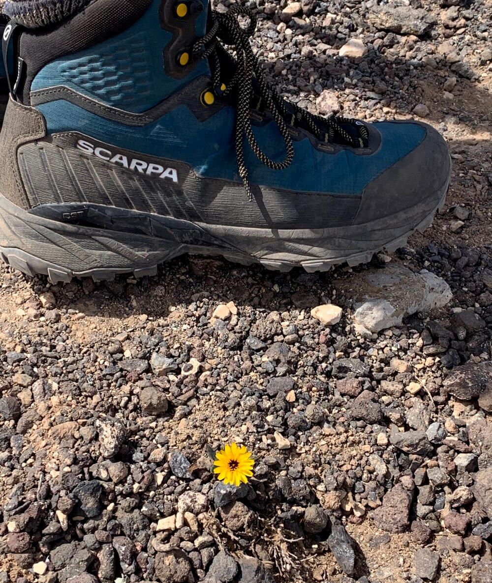 Scarpa Rush TRK LT GTX Hiking Boot